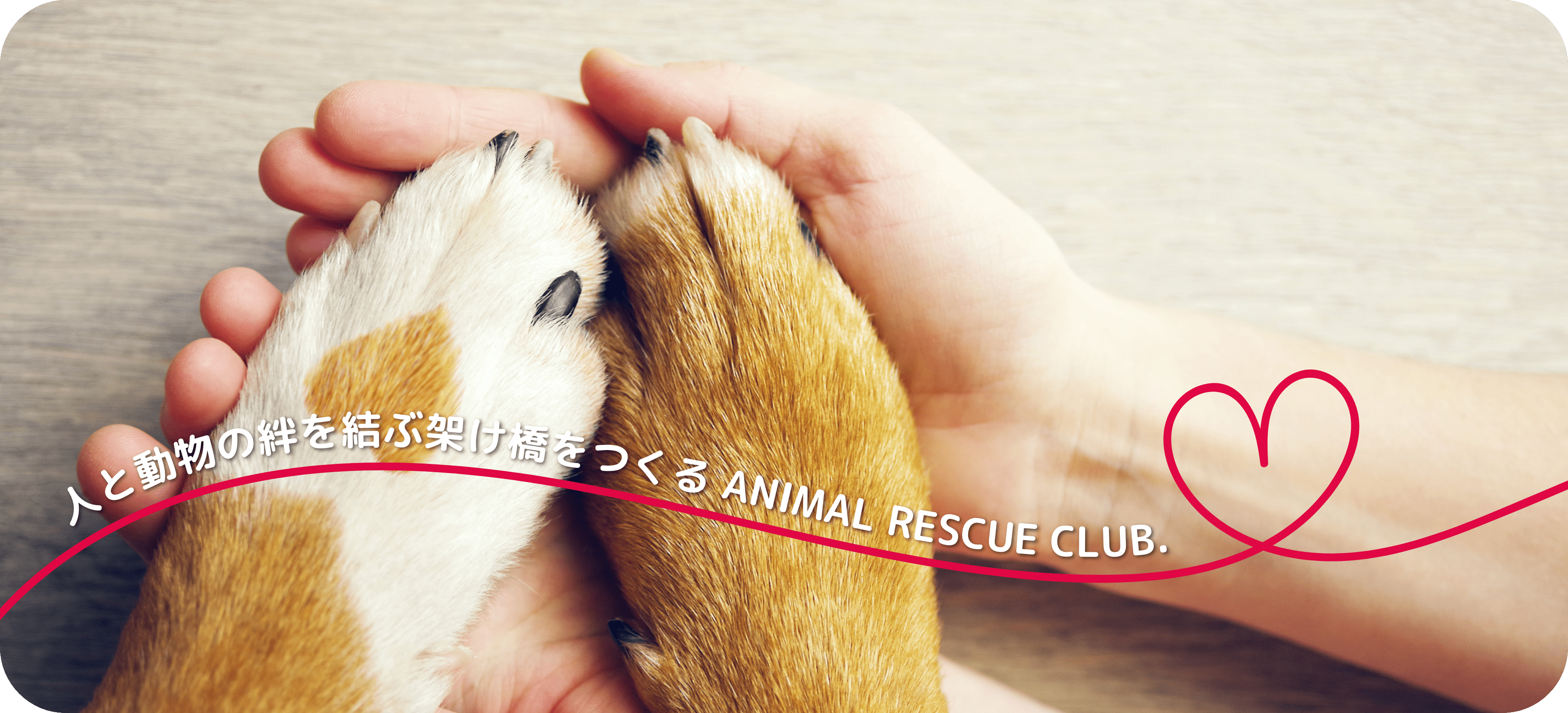 人と動物の絆を結ぶ架け橋をつくる ANIMAL RESCUE CLUB